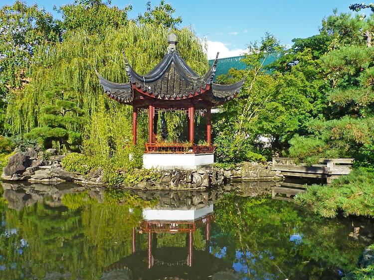 Visit a hidden Chinese garden in the middle of Chinatown Visit a hidden Chinese garden in the middle of Chinatown