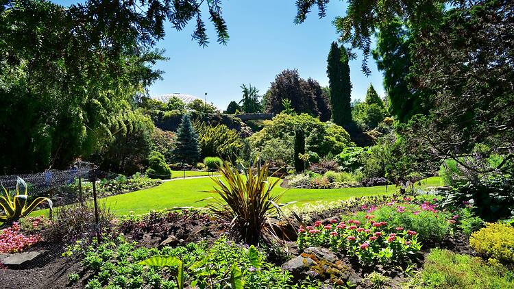 Find the secret sculptures of Queen Elizabeth Park Find the secret sculptures of Queen Elizabeth Park