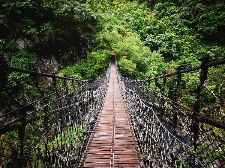 Cross the Lynn Canyon Suspension Bridge Cross the Lynn Canyon Suspension Bridge