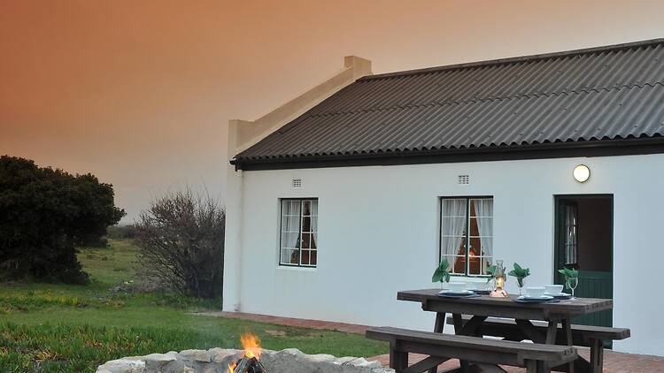 De Hoop Collection, De Hoop Nature Reserve
