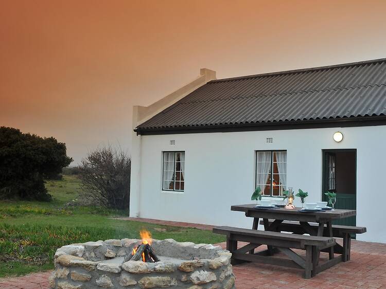 De Hoop Collection, De Hoop Nature Reserve