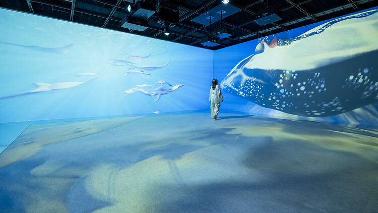 The Kuniyoshi Immersive Art installation at the Kyoto exhibition of Utagawa Kuniyoshi The Kuniyoshi Immersive Art installation at the Kyoto exhibition of Utagawa Kuniyoshi