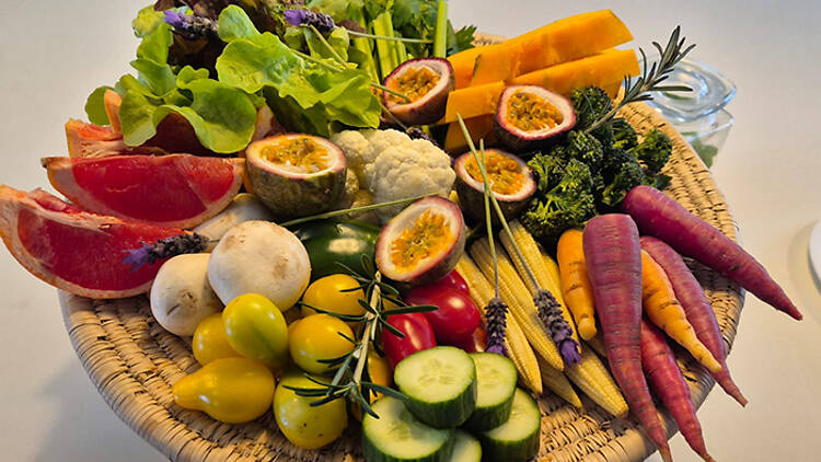 The safari lodge ensuring sustainability isn't just lip service