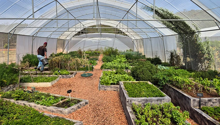 Mhondoro Farm's Fresh Produce