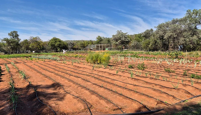 Mhondoro Farm