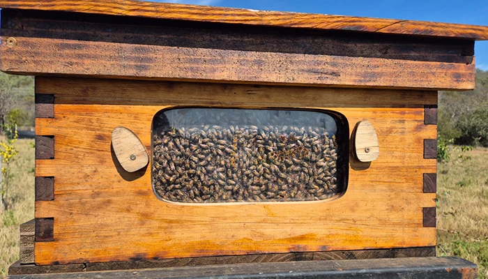 Mhondoro Farm's Bees
