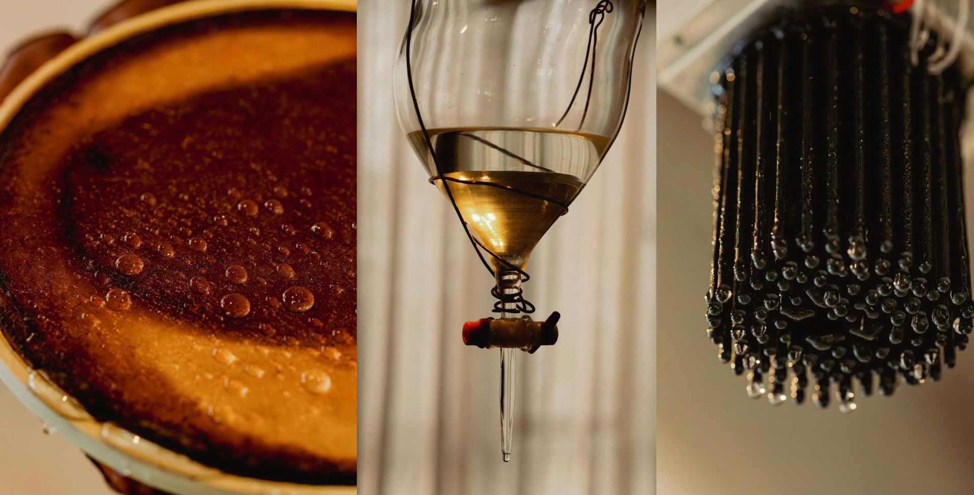 Preview images of Mundos Invisibles: Resonant Fermentation Assemblages