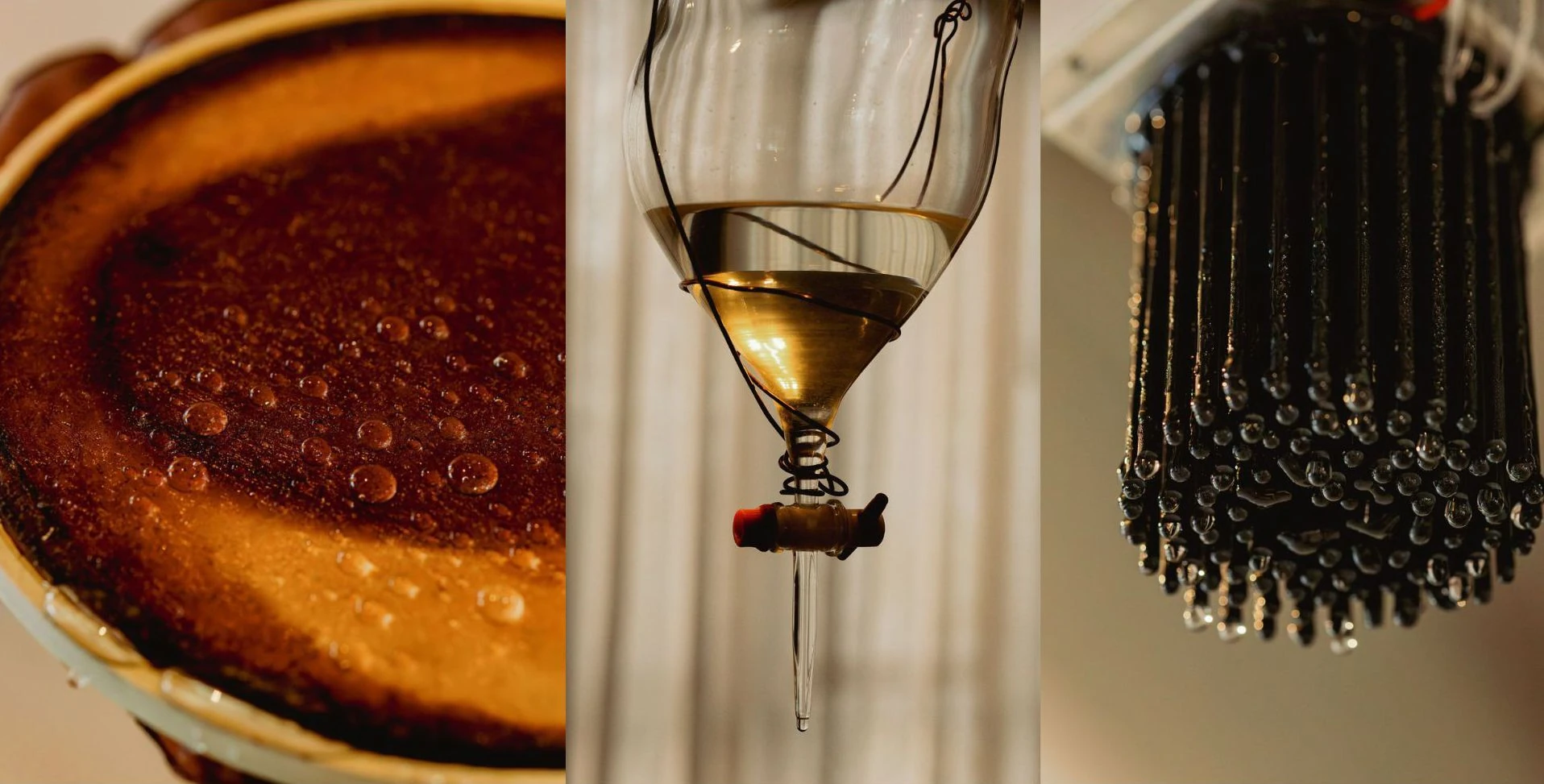 Preview images of Mundos Invisibles: Resonant Fermentation Assemblages