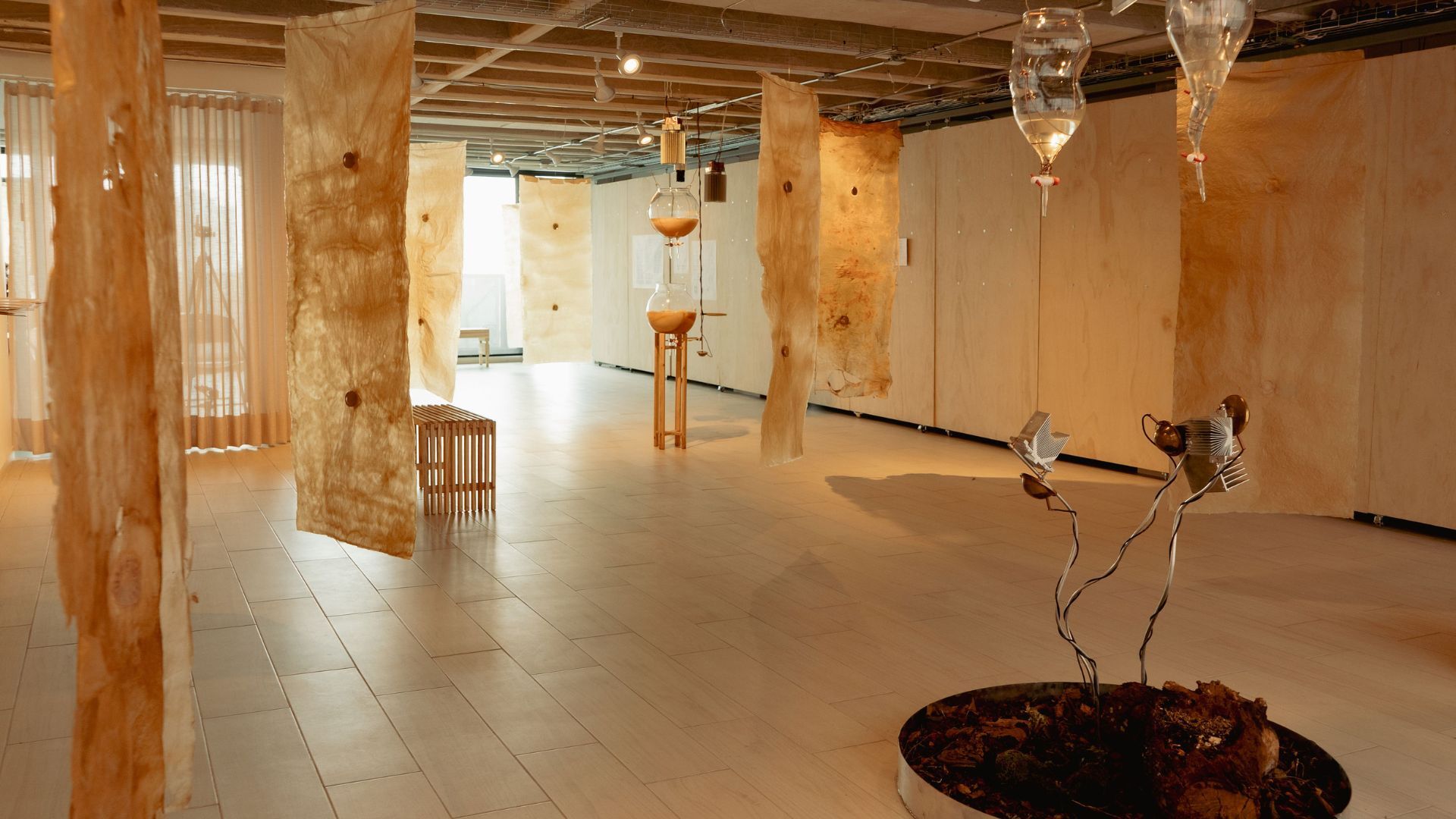 First look: major contemporary arts venue Hypha Gallery opens on the South Bank this week