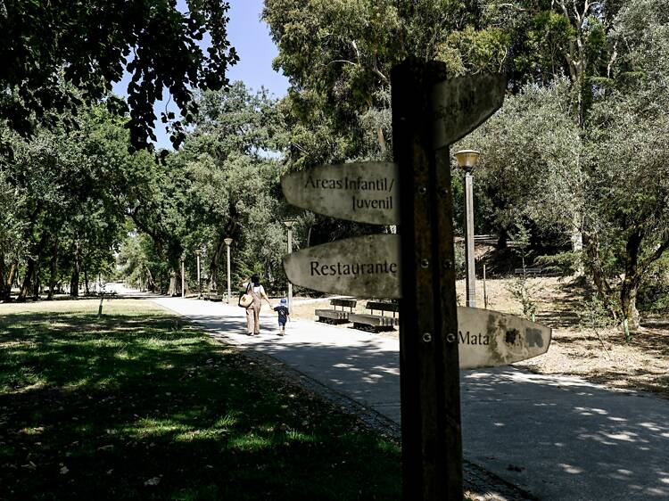 Quinta das Conchas
