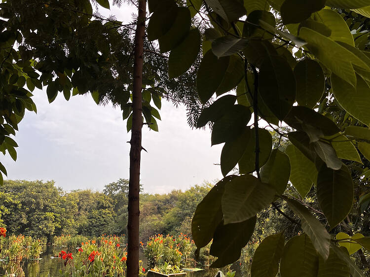 Sanjay Van