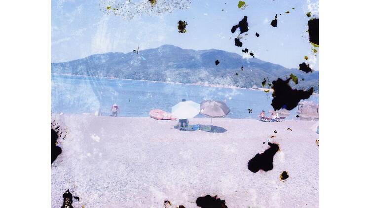 STILL/LIFE 静寂の余韻に