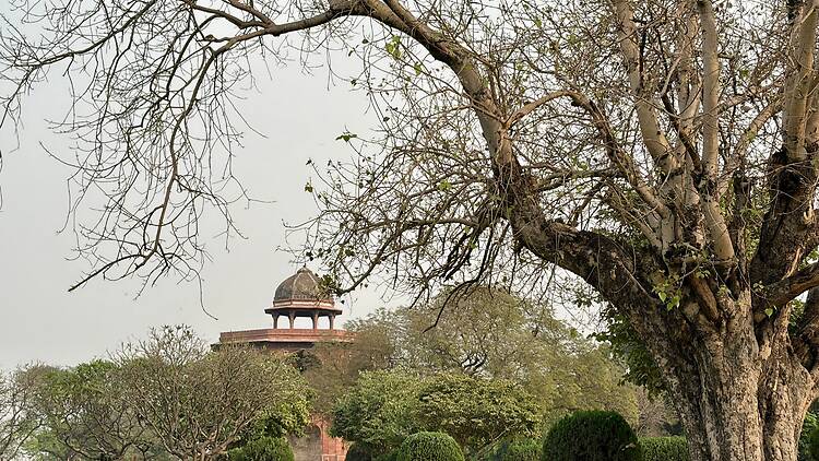 The best parks and gardens in Delhi
