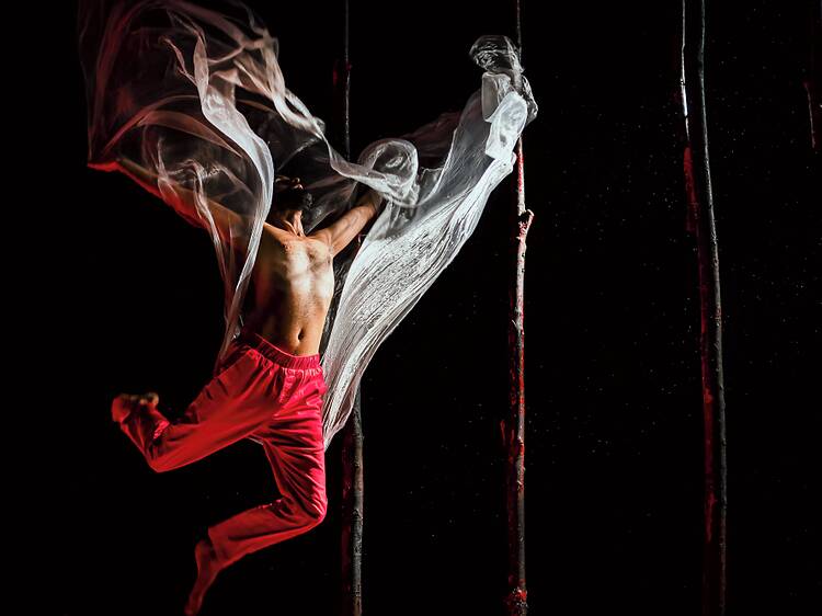 Aakash Odedra Company: Songs of the Bulbul