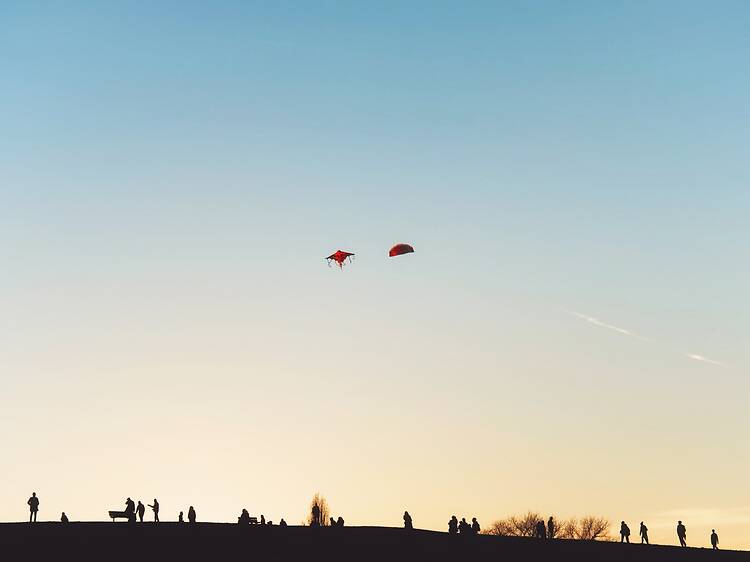Editor’s pick for Sunday 28 June: Kite Display Parliament Hill 2026