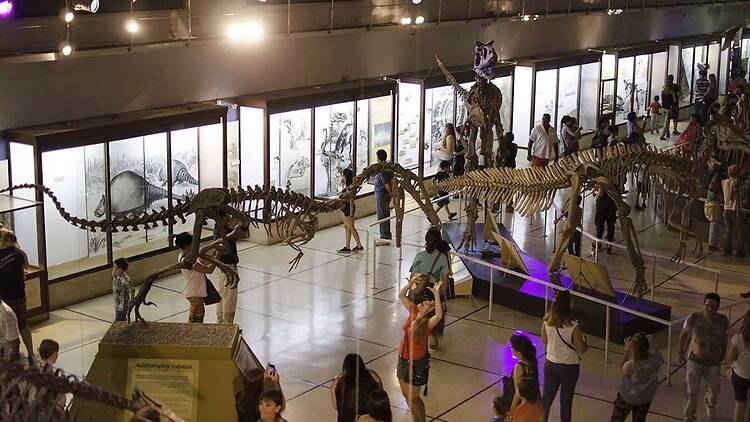 Argentine Museum of Natural Sciences Bernardino Rivadavia Argentine Museum of Natural Sciences Bernardino Rivadavia