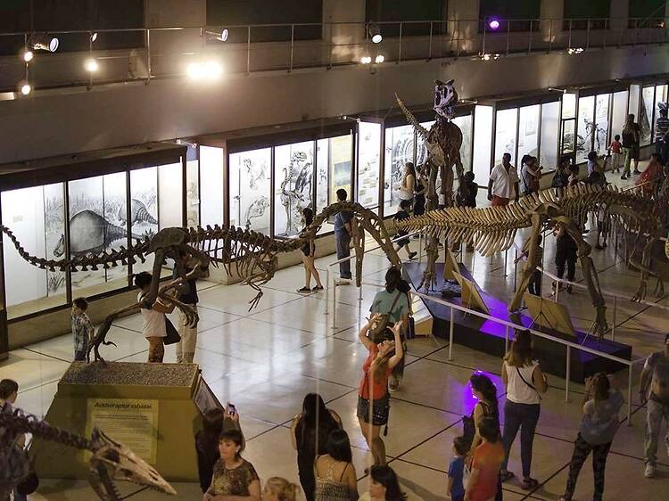 Argentine Museum of Natural Sciences Bernardino Rivadavia Argentine Museum of Natural Sciences Bernardino Rivadavia