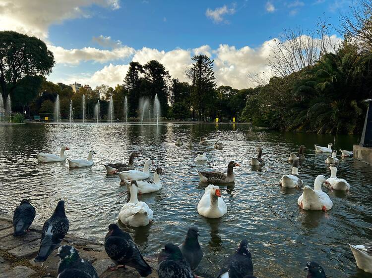Parque Centenario Parque Centenario