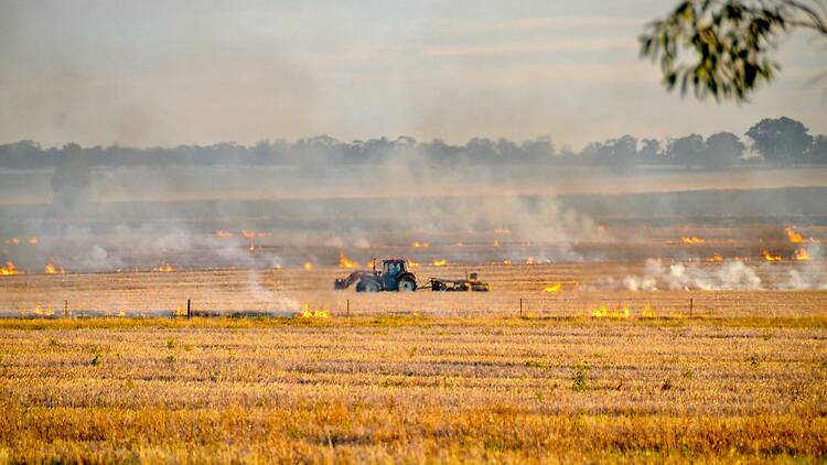 Farm on fire