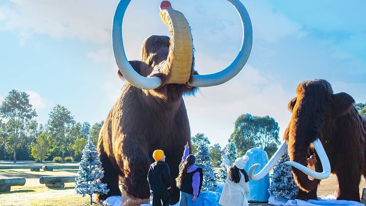 Meet a woolly mammoth at Sydney Zoo