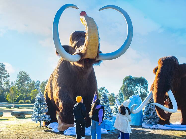 Meet a woolly mammoth at Sydney Zoo