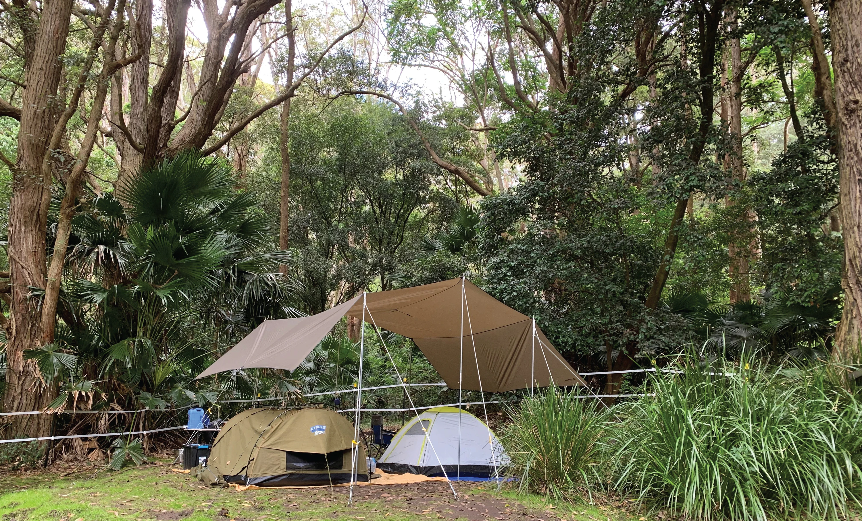 wild campsite NSW