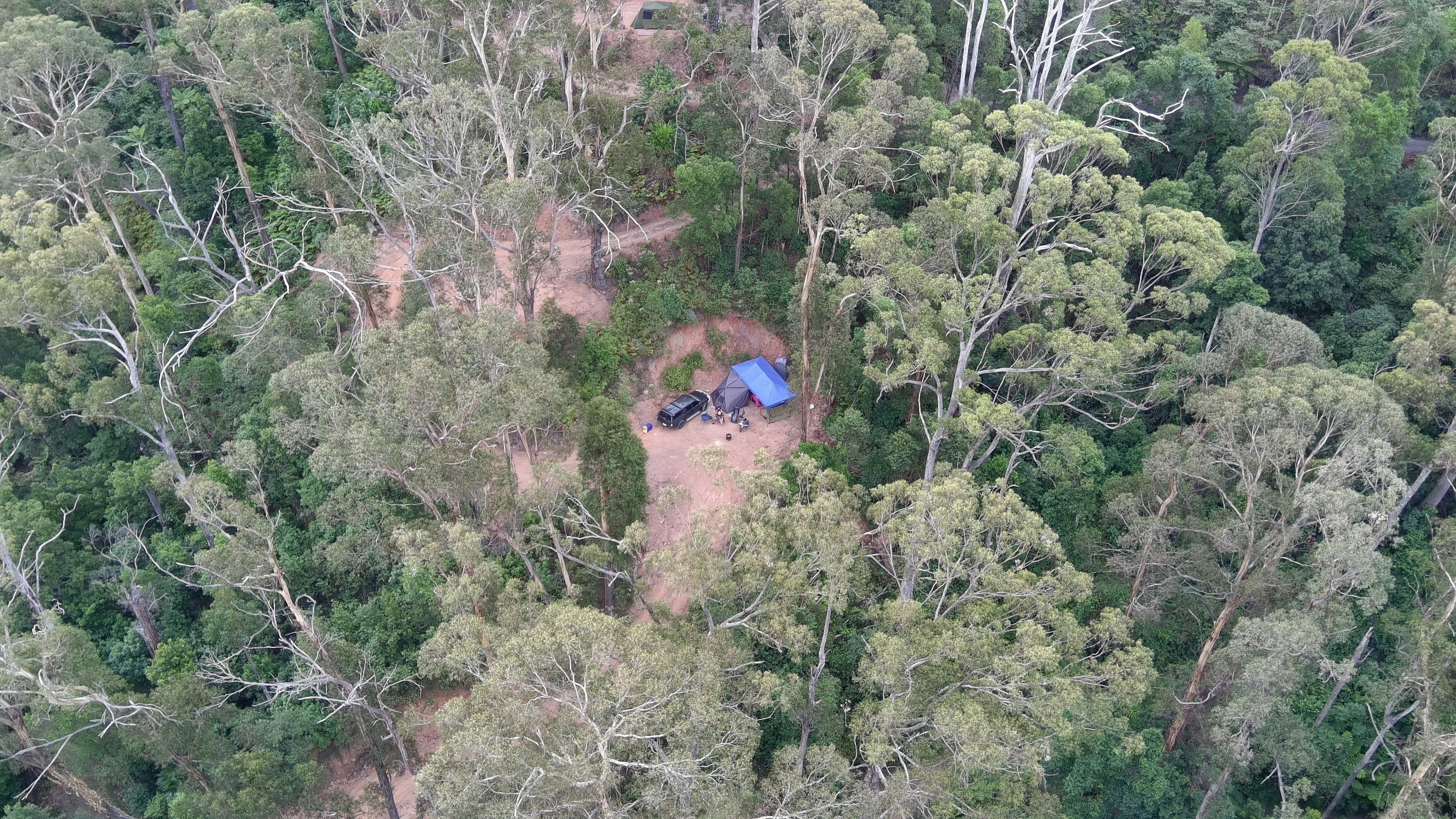 wild campsite NSW