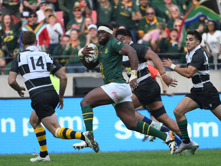Backing the Boks! Win tickets to South Africa vs England at Ellis Park