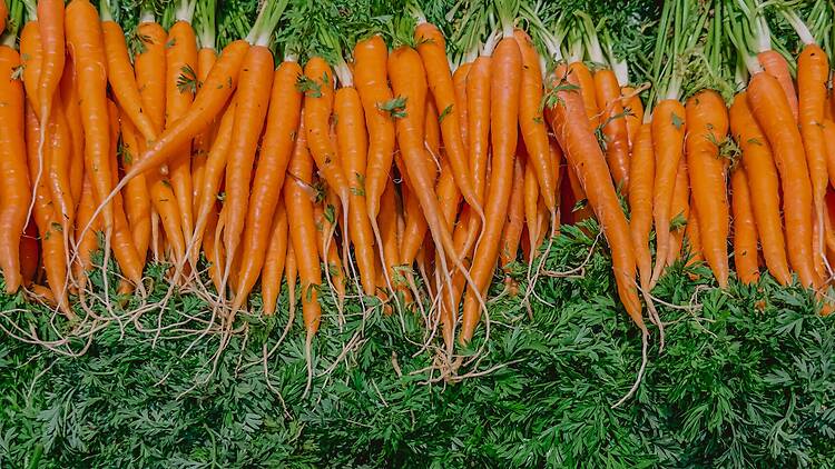 Ikigai Farmer's Market & Kids Carnival