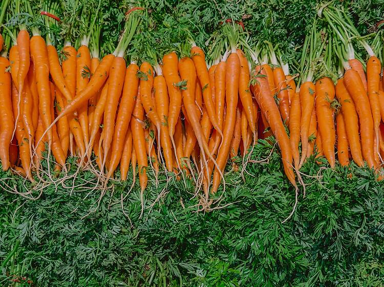 Ikigai Farmer's Market & Kids Carnival