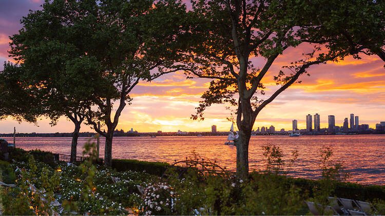 sunet city trees sunet city trees (QC )
