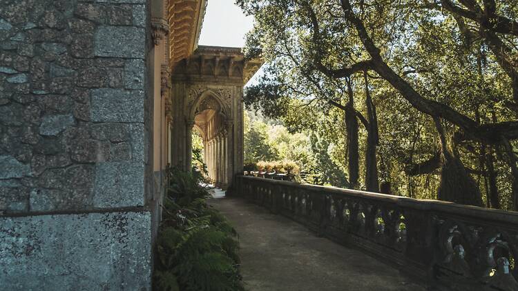 Parque do Palácio de Monserrate