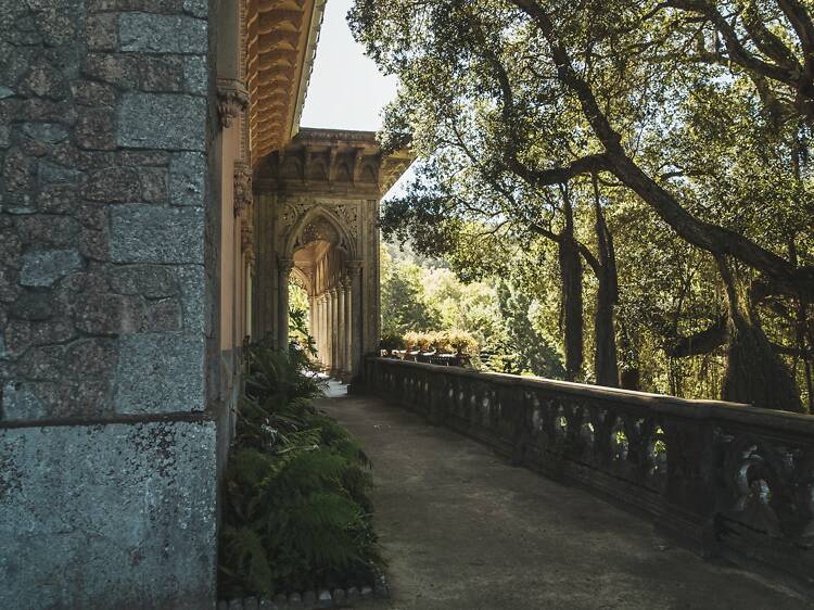 Parque do Palácio de Monserrate