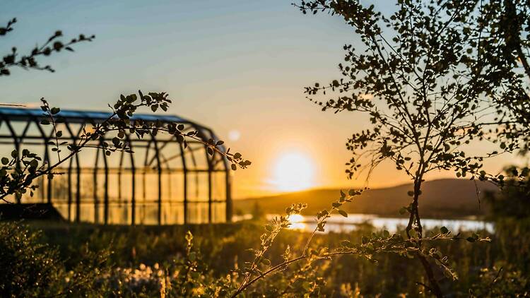 Dive into northern nature and history at Arktikum
