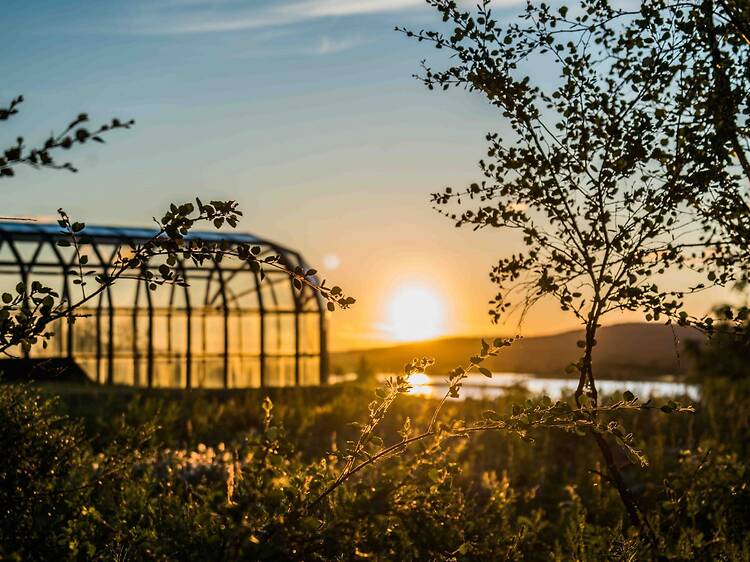 Dive into northern nature and history at Arktikum