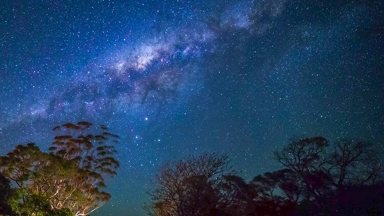 Dark Sky stars