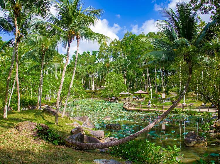 Bishan-Ang Mo Kio Park Bishan-Ang Mo Kio Park