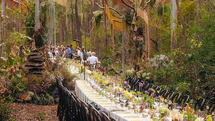 Long table lunch in forest
