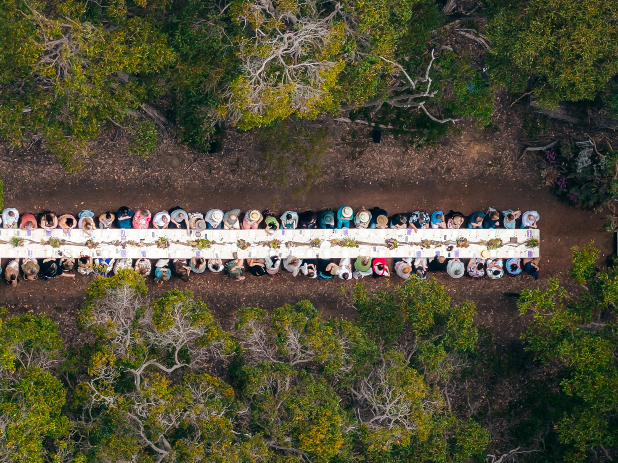 Long table lunch in forest