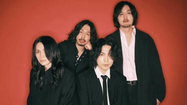 The Novembers