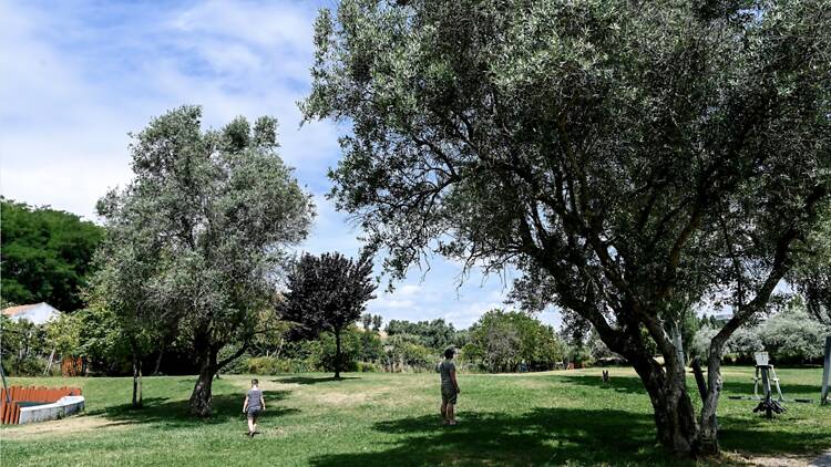 Parque Urbano da Quinta da Granja