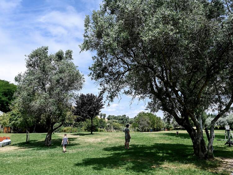 Parque Urbano da Quinta da Granja