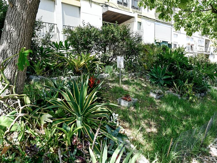 Jardim das Plantas Doadas