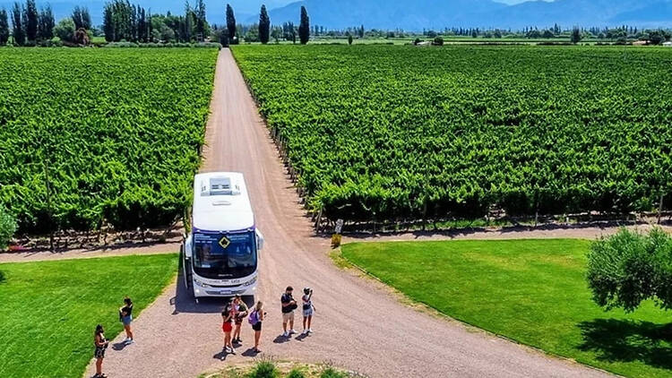 Wine Bus: The Easiest Way to Visit Wineries Without Driving