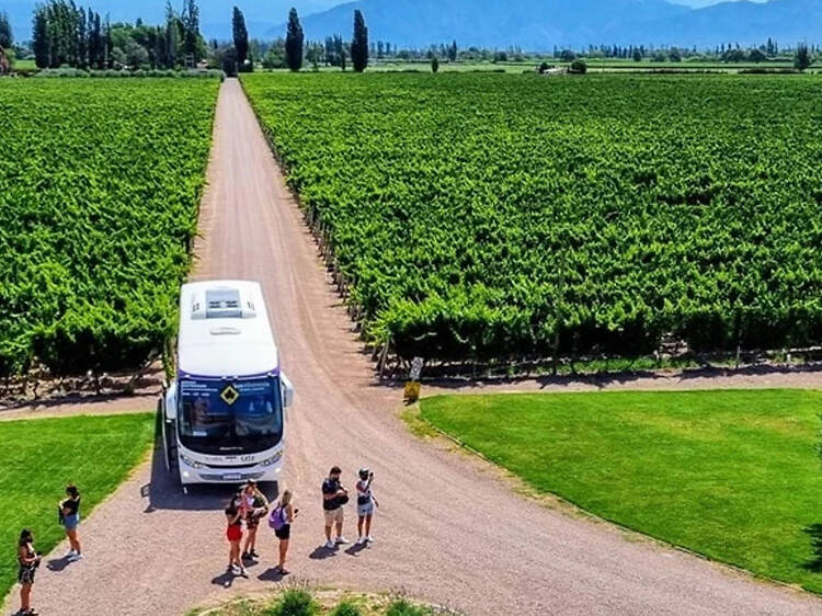 Wine Bus: The Easiest Way to Visit Wineries Without Driving