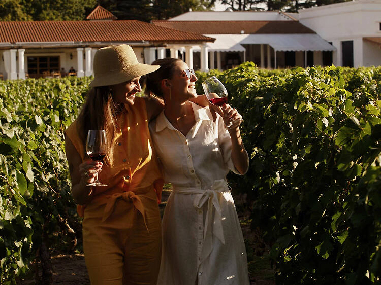Wineries Near the City: Great Wines Without Going Far
