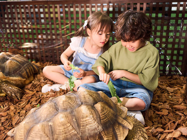 Exotic Pets World 2026 Exotic Pets World 2026