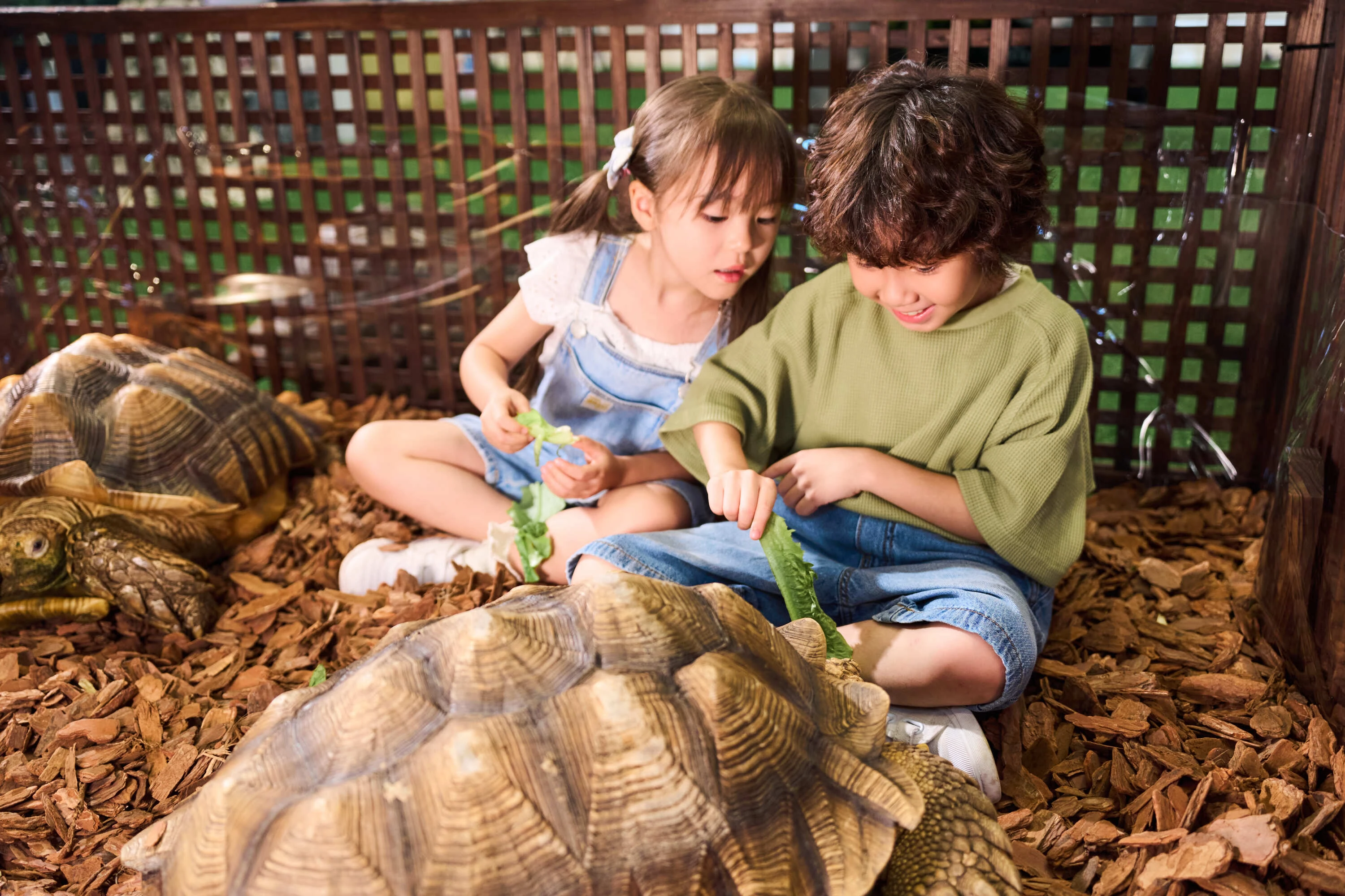 Hopewell Mall Exotic Pets World