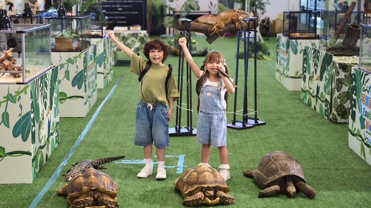 Hopewell Mall Exotic Pets World