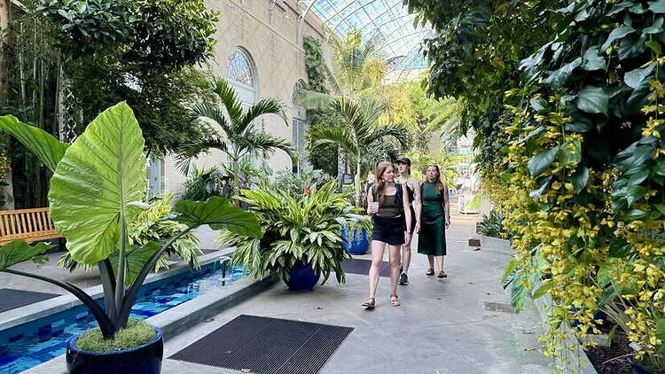 A wide shot of three people walking through a garden. A wide shot of three people walking through a botanical garden.